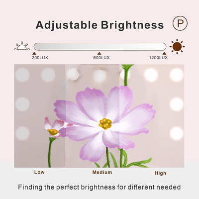 Starlight Bluetooth luminoso altoparlante spettro con luce morbida